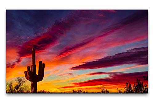 Paul Sinus Art Bilder XXL Kaktus im Sonnenuntergang 120x70cm Wandbild auf Leinwand von Paul Sinus Art