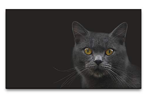 Paul Sinus Art Bilder XXL Katze in schwarz 120x70cm Wandbild auf Leinwand von Paul Sinus Art