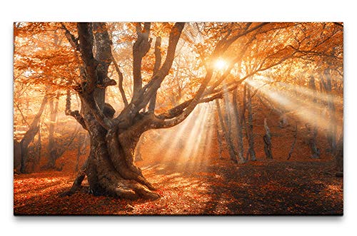 Bilder XXL Magischer alter Baum 120x70cm Wandbild auf Leinwand Bilder XXL Magischer alter Baum 120x70cm Wandbild auf Leinwand von Paul Sinus Art