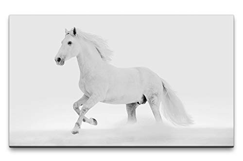 Paul Sinus Art Bilder XXL Weißes Pferd 120x70cm Wandbild auf Leinwand von Paul Sinus Art
