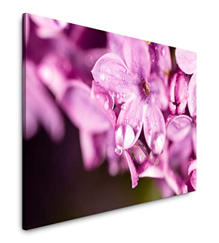 Paul Sinus Art Blumen in pink 60 x 90 cm Inspirierende Fotokunst in Museums-Qualität für Ihr Zuhause als Wandbild auf Leinwand in von Paul Sinus Art