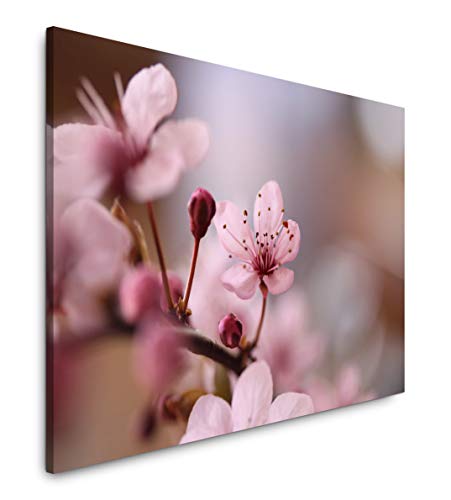 Paul Sinus Art Blumen in rosa 40 x 60 cm Inspirierende Fotokunst in Museums-Qualität für Ihr Zuhause als Wandbild auf Leinwand in Paul Sinus Art Blumen in rosa 40 x 60 cm Inspirierende Fotokunst in Museums-Qualität für Ihr Zuhause als Wandbild auf Leinwand in von Paul Sinus Art