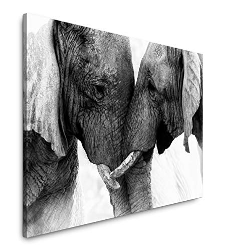 Paul Sinus Art Elefanten 150 x 100 cm Inspirierende Fotokunst in Museums-Qualität für Ihr Zuhause als Wandbild auf Leinwand in XXL Format von Paul Sinus Art