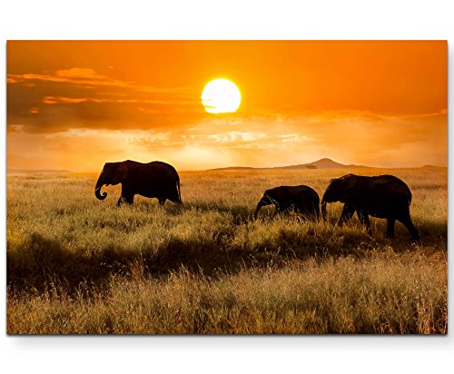 Paul Sinus Art Elefantenfamilie bei Sonnenuntergang - Leinwandbild 120x80cm von Paul Sinus Art
