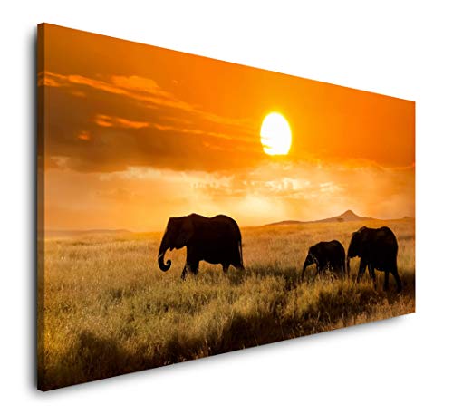 Paul Sinus Art Familie von Elefanten 120x 60cm Panorama Leinwand Bild XXL Format Wandbilder Wohnzimmer Wohnung Deko Kunstdrucke von Paul Sinus Art