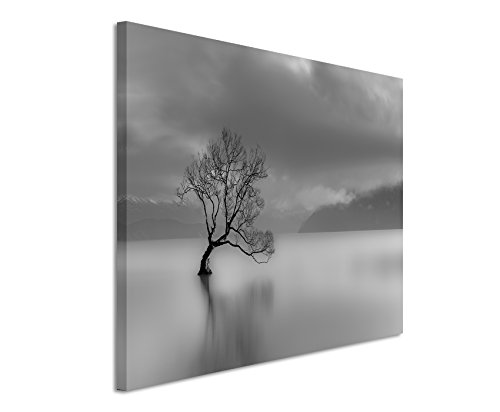 Paul Sinus Art Fotoleinwand 90x60cm Landschaftsfotografie – Einsamer Baum am Wanaka See, Neuseeland auf Leinwand Exklusives Wandbild Moderne Fotografie für ihre Wand in vielen Größen von Paul Sinus Art