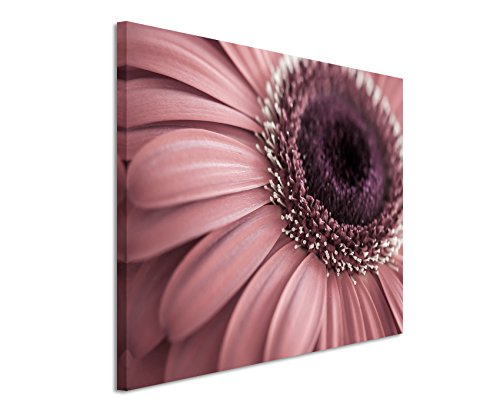 Paul Sinus Art Fotoleinwand 90x60cm Naturfotografie – Blumen in Altrosa auf Leinwand Exklusives Wandbild Moderne Fotografie für ihre Wand in vielen Größen von Paul Sinus Art