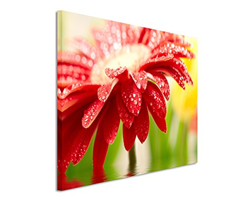 Paul Sinus Art Fotoleinwand 90x60cm Naturfotografie – Rote Blumen über Wasseroberfläche auf Leinwand Exklusives Wandbild Moderne Fotografie für ihre Wand in vielen Größen von Paul Sinus Art