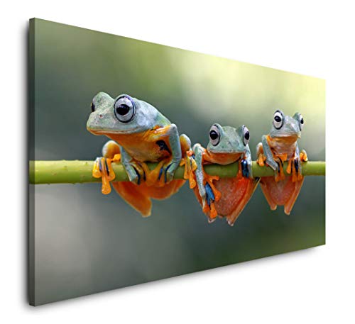 Paul Sinus Art Frösche auf Stängel 120x 60cm Panorama Leinwand Bild XXL Format Wandbilder Wohnzimmer Wohnung Deko Kunstdrucke von Paul Sinus Art