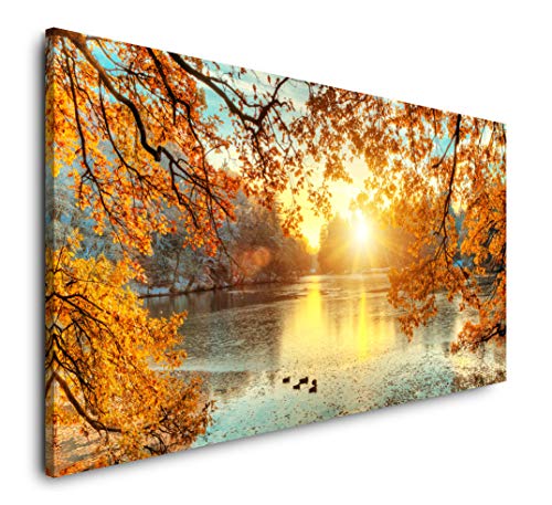 Paul Sinus Art schöne bunte Bäume 120x 60cm Panorama Leinwand Bild XXL Format Wandbilder Wohnzimmer Wohnung Deko Kunstdrucke von Paul Sinus Art