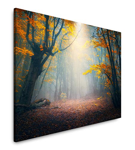 Paul Sinus Art Herbstwald 180 x 120 cm Inspirierende Fotokunst in Museums-Qualität für Ihr Zuhause als Wandbild auf Leinwand in XXL Format von Paul Sinus Art