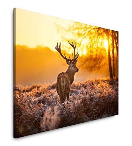 Paul Sinus Art Hirsch im Wald 180 x 120 cm Inspirierende Fotokunst in Museums-Qualität für Ihr Zuhause als Wandbild auf Leinwand in XXL Format Paul Sinus Art Hirsch im Wald 180 x 120 cm Inspirierende Fotokunst in Museums-Qualität für Ihr Zuhause als Wandbild auf Leinwand in XXL Format von Paul Sinus Art
