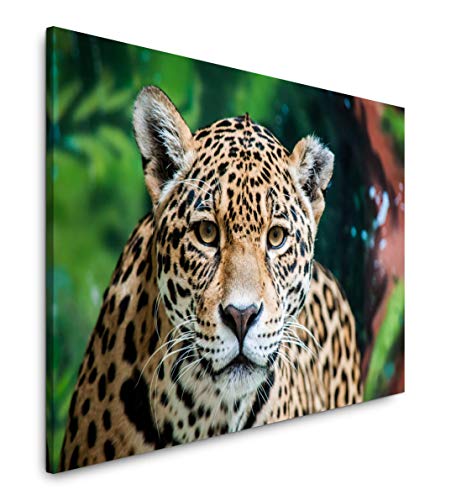 Paul Sinus Art Jaguar in der Natur Wandbild in verschiedenen Größen Wähle Deine Größe 40x60cm von Paul Sinus Art