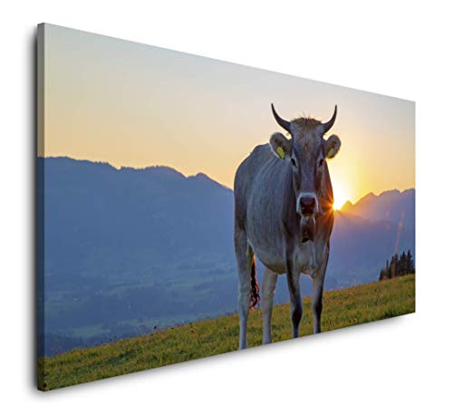 Paul Sinus Art Kuh im Allgäu 120x 60cm Panorama Leinwand Bild XXL Format Wandbilder Wohnzimmer Wohnung Deko Kunstdrucke Paul Sinus Art Kuh im Allgäu 120x 60cm Panorama Leinwand Bild XXL Format Wandbilder Wohnzimmer Wohnung Deko Kunstdrucke von Paul Sinus Art