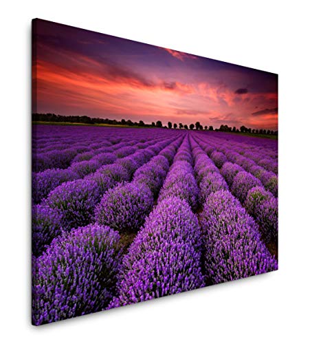 Paul Sinus Art Lavendel 150 x 100 cm Inspirierende Fotokunst in Museums-Qualität für Ihr Zuhause als Wandbild auf Leinwand in XXL Format von Paul Sinus Art