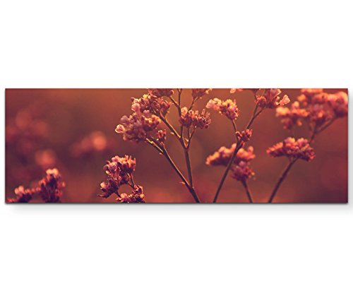 Paul Sinus Art Leinwandbilder | Bilder Leinwand 120x40cm Blume im Sonnenuntergang von Paul Sinus Art