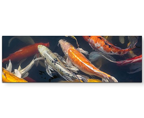 Paul Sinus Art Leinwandbilder | Bilder Leinwand 120x40cm Koi Fische im Teich von Paul Sinus Art