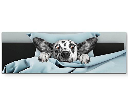 Paul Sinus Art Leinwandbilder | Bilder Leinwand 120x40cm niedlicher Hund im Bett von Paul Sinus Art