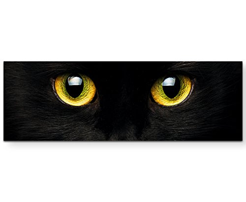 Paul Sinus Art Leinwandbilder | Bilder Leinwand 120x40cm Schwarze Katze – Nahaufnahme von Paul Sinus Art