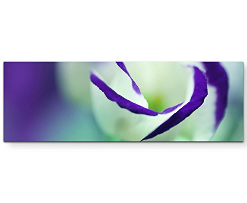 Paul Sinus Art Leinwandbilder | Bilder Leinwand 120x40cm abstrakte Blume – Nahaufnahme von Paul Sinus Art