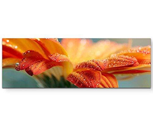 Paul Sinus Art Leinwandbilder | Bilder Leinwand 120x40cm orange Gerbera mit Wassertropfen – Nahaufnahme von Paul Sinus Art