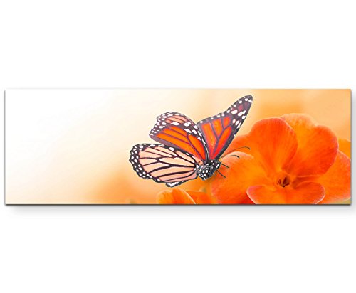 Paul Sinus Art Leinwandbilder | Bilder Leinwand 120x40cm orangene Blumen mit Schmetterlingen von Paul Sinus Art