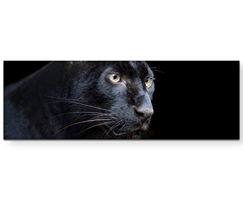 Paul Sinus Art Leinwandbilder | Bilder Leinwand 120x40cm schwarzer Panther auf schwarzem Hintergrund – Nahaufnahme von Paul Sinus Art