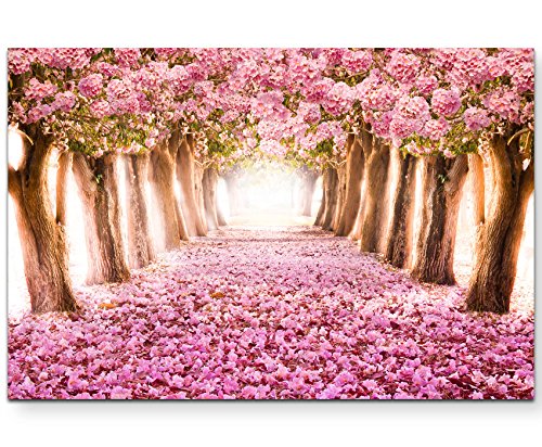 Paul Sinus Art Leinwandbilder | Bilder Leinwand 120x80cm Allee aus rosa Blüten von Paul Sinus Art