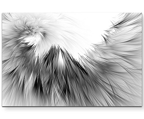 Paul Sinus Art Leinwandbilder | Bilder Leinwand 120x80cm Fell schwarz/weiß von Paul Sinus Art