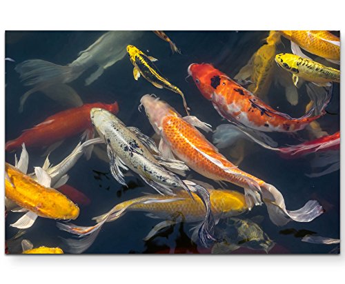 Paul Sinus Art Leinwandbilder | Bilder Leinwand 120x80cm Koi Fische im Teich von Paul Sinus Art