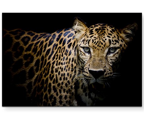 Paul Sinus Art Leinwandbilder | Bilder Leinwand 120x80cm Portrait Leopard von Paul Sinus Art