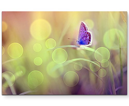 Paul Sinus Art Leinwandbilder | Bilder Leinwand 120x80cm Schmetterling von Paul Sinus Art