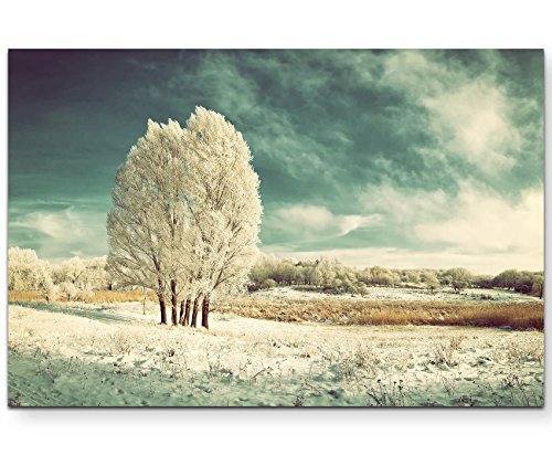 Paul Sinus Art Leinwandbilder | Bilder Leinwand 120x80cm eisige Winterlandschaft mit Baum von Paul Sinus Art