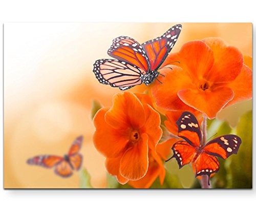 Paul Sinus Art Leinwandbilder | Bilder Leinwand 120x80cm orangene Blumen mit Schmetterlingen von Paul Sinus Art