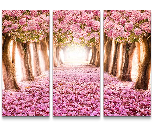 Paul Sinus Art Leinwandbilder | Bilder Leinwand 130x90cm Allee aus rosa Blüten von Paul Sinus Art