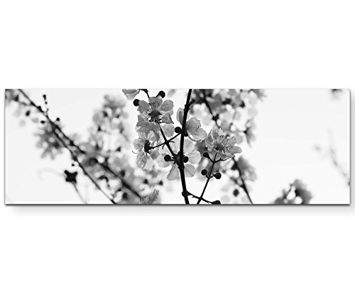 Paul Sinus Art Leinwandbilder | Bilder Leinwand 150x50cm AST mit Blumen schwarz/weiß von Paul Sinus Art