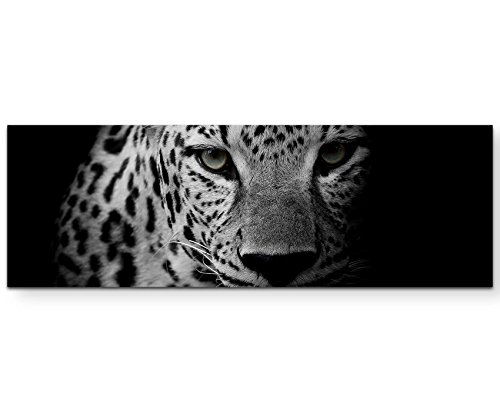 Paul Sinus Art Leinwandbilder | Bilder Leinwand 150x50cm Portrait eines Leoparden schwarzweiß von Paul Sinus Art