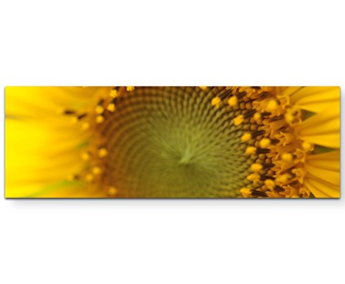 Paul Sinus Art Leinwandbilder | Bilder Leinwand 150x50cm Sonnenblume von Paul Sinus Art