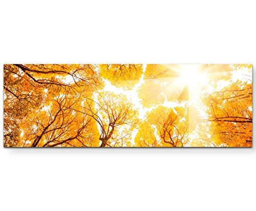 Paul Sinus Art Leinwandbilder | Bilder Leinwand 150x50cm golden gefärbter Herbstwald von Paul Sinus Art