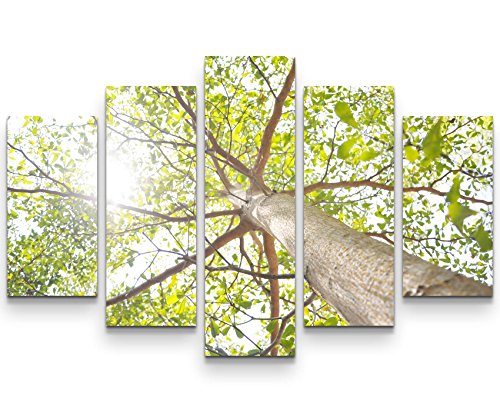 Paul Sinus Art Leinwandbilder | Bilder Leinwand 160x100cm Baumkrone im Sonnenlicht von Paul Sinus Art