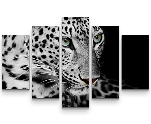 Paul Sinus Art Leinwandbilder | Bilder Leinwand 160x100cm Portrait eines liegenden Leoparden schwarzweiß von Paul Sinus Art