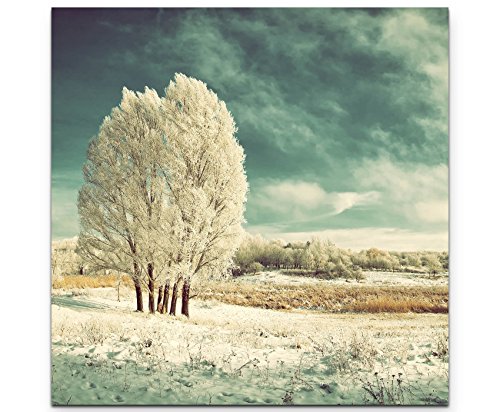 Paul Sinus Art Leinwandbilder | Bilder Leinwand 60x60cm eisige Winterlandschaft mit Baum von Paul Sinus Art