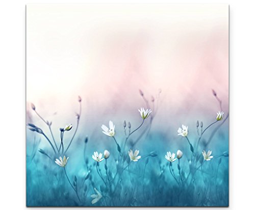 Paul Sinus Art Leinwandbilder | Bilder Leinwand 60x60cm weiße kleine Blumen auf türkiser Wiese von Paul Sinus Art