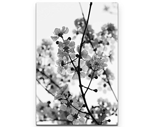 Paul Sinus Art Leinwandbilder | Bilder Leinwand 90x60cm AST mit Blumen schwarz/weiß von Paul Sinus Art