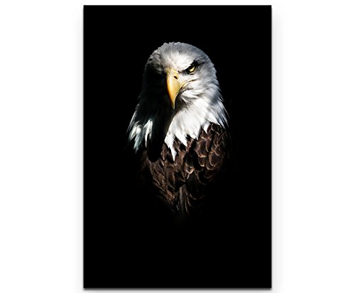 Paul Sinus Art Leinwandbilder | Bilder Leinwand 90x60cm Adler von Paul Sinus Art
