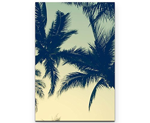 Paul Sinus Art Leinwandbilder | Bilder Leinwand 90x60cm Palmen bei Sonnenuntergang von Paul Sinus Art