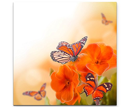 Paul Sinus Art Leinwandbilder | Bilder Leinwand 60x60cm orangene Blumen mit Schmetterlingen von Paul Sinus Art