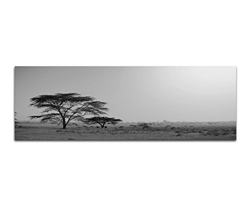 Paul Sinus Art Leinwandfoto als Panorama SCHWARZ/Weiss 120x40cm Afrika Namibia Baum Abendstimmung von Paul Sinus Art