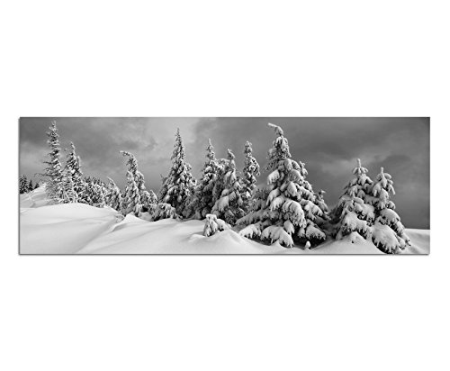 Paul Sinus Art Leinwandfoto als Panorama SCHWARZ/Weiss 120x40cm Winterlandschaft Bäume Schnee Wolken von Paul Sinus Art