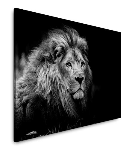 Paul Sinus Art Löwen Portrait 120x 80cm Inspirierende Fotokunst in Museums-Qualität für Ihr Zuhause als Wandbild auf Leinwand in von Paul Sinus Art